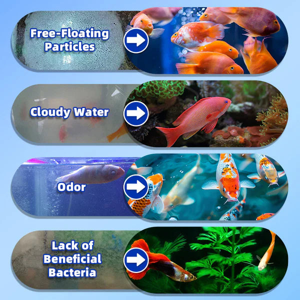 Aquarium Water Clarifier (Pack of 3 ) (⭐⭐⭐⭐ 4.9/5) New Year Sale- 59% OFF🎁