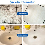 Multifunction Bolac Bathroom Foam Cleaner BUY 1 GET 1 FREE