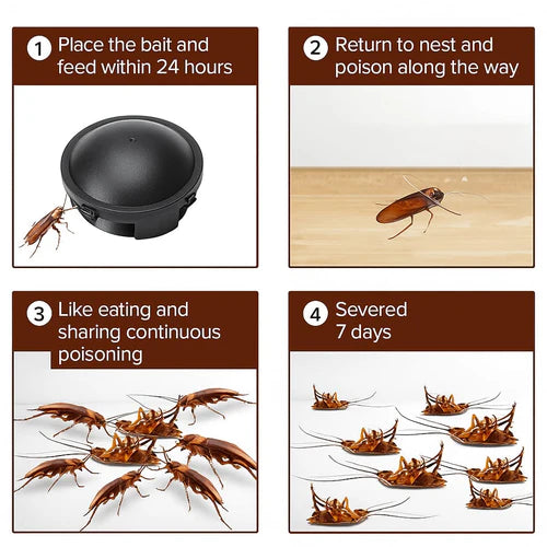 🌿100% Plant Based Japan Combat Roach Killing Bait station BUY 1 GET 1 FREE